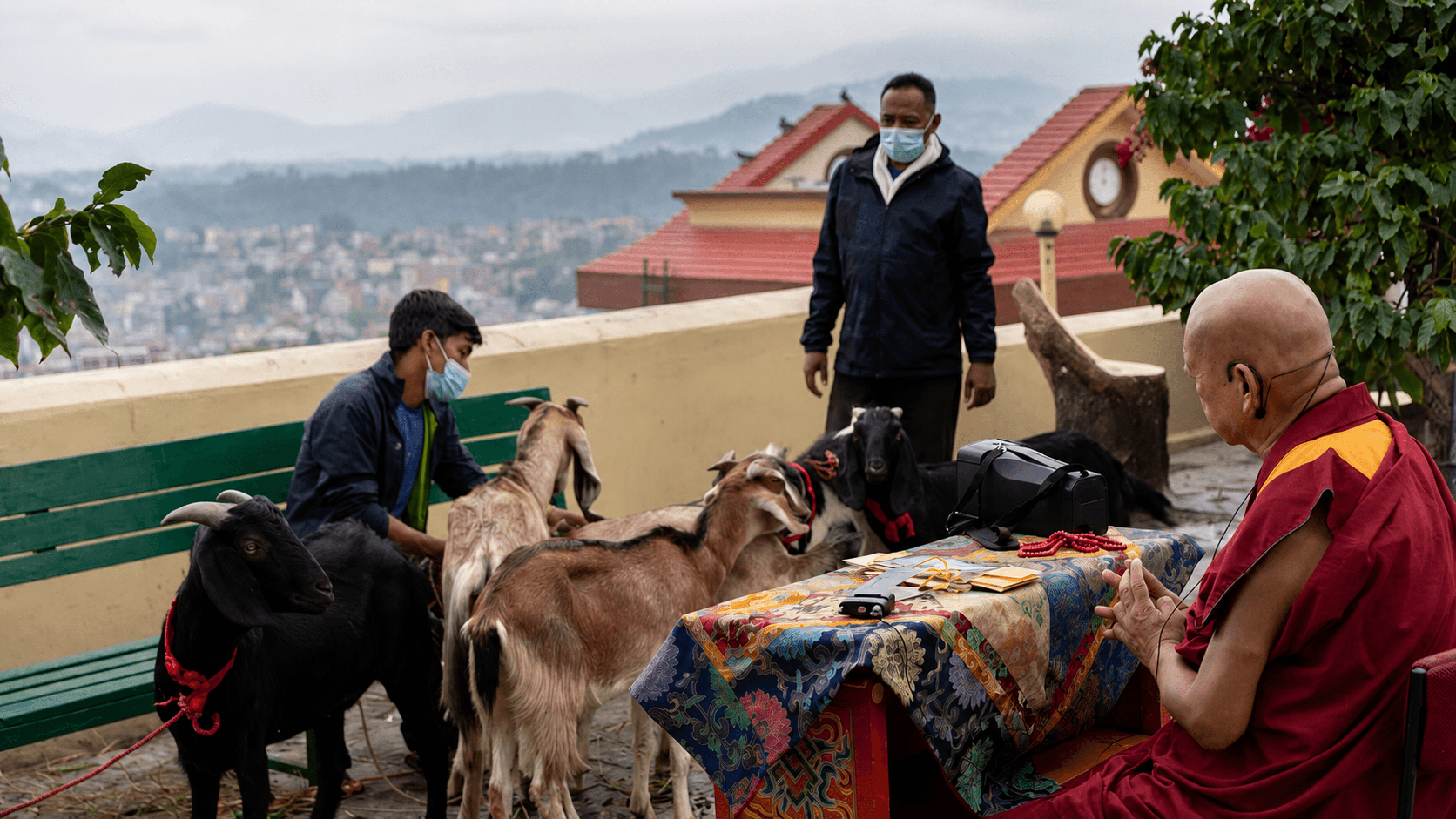Animal Liberation Sanctuary