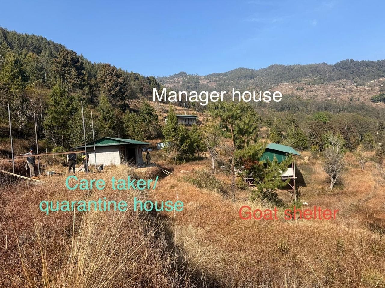 new construction at the Animal Liberation Sanctuary